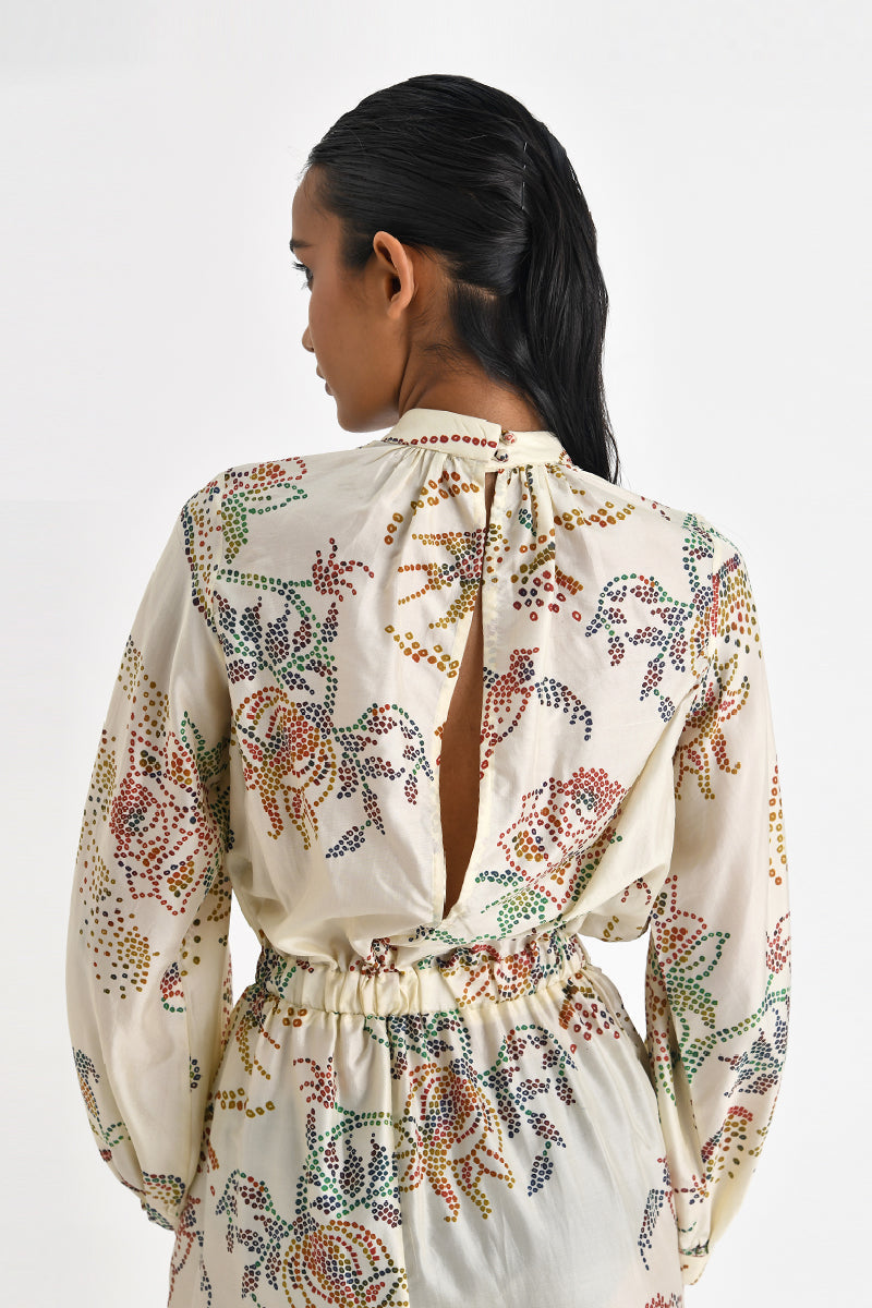 Chionato Printed Dress