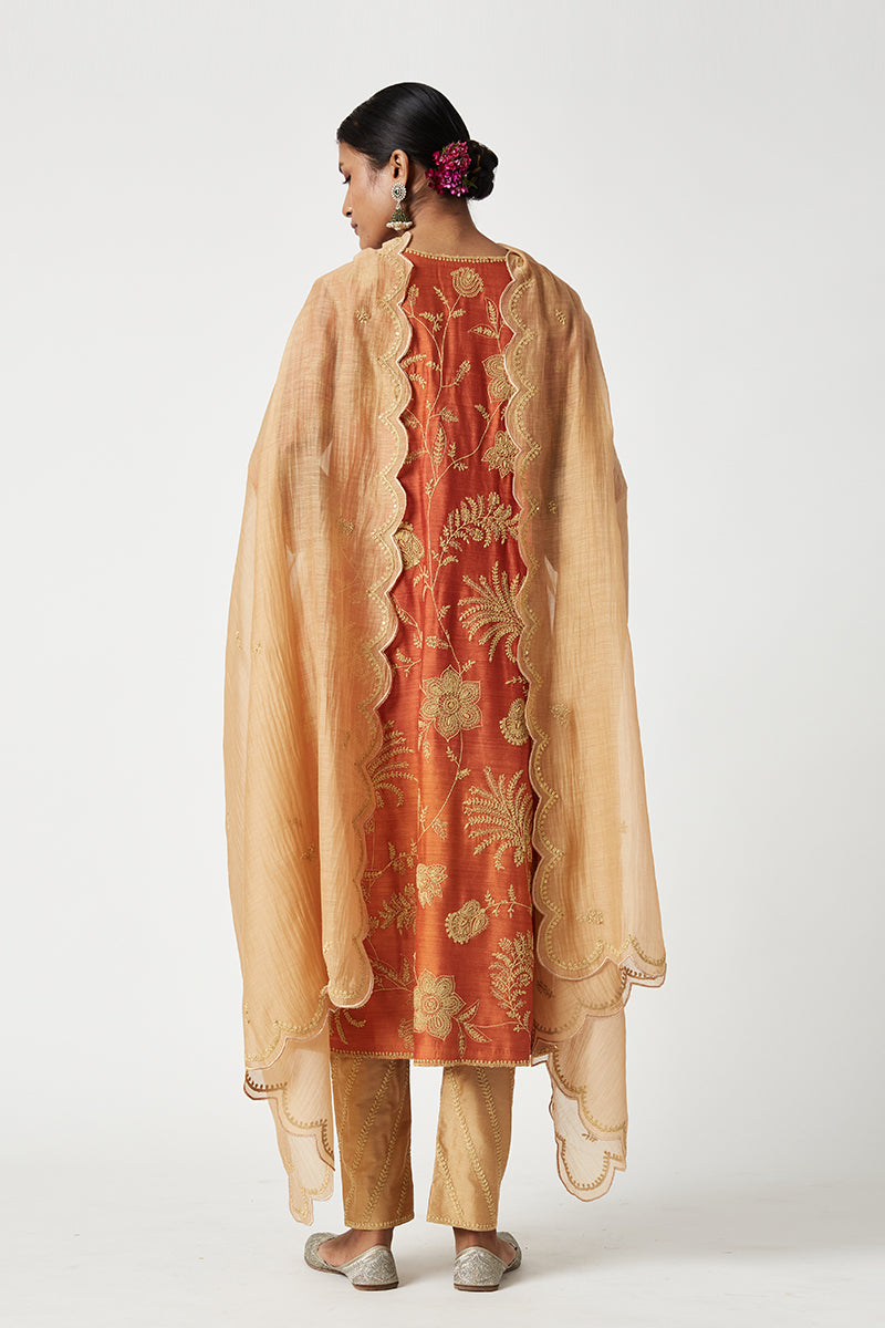 Shriya Embroidered Kurta Set