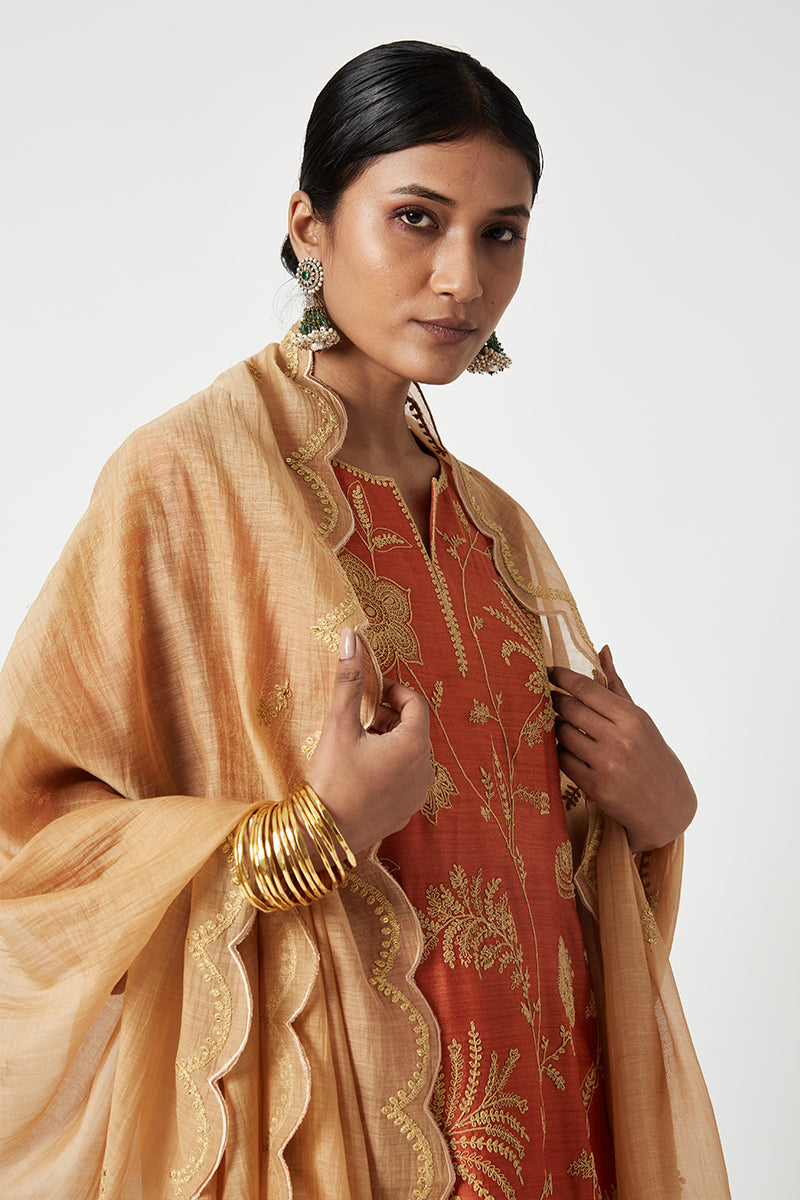 Shriya Embroidered Kurta Set